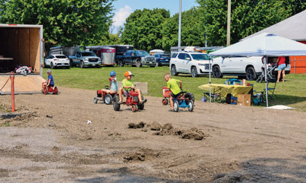 Combing agricultural heritage with fair fun