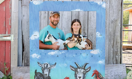 Fun on the farm!