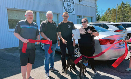 Boxer Automotive