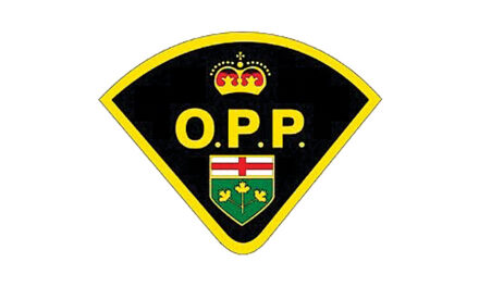 OPP warns of sophisticated fraud trends targeting Eastern Ontario