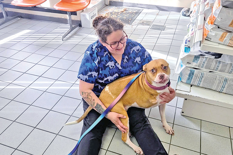 Alyssa’s Mobile Pet Care